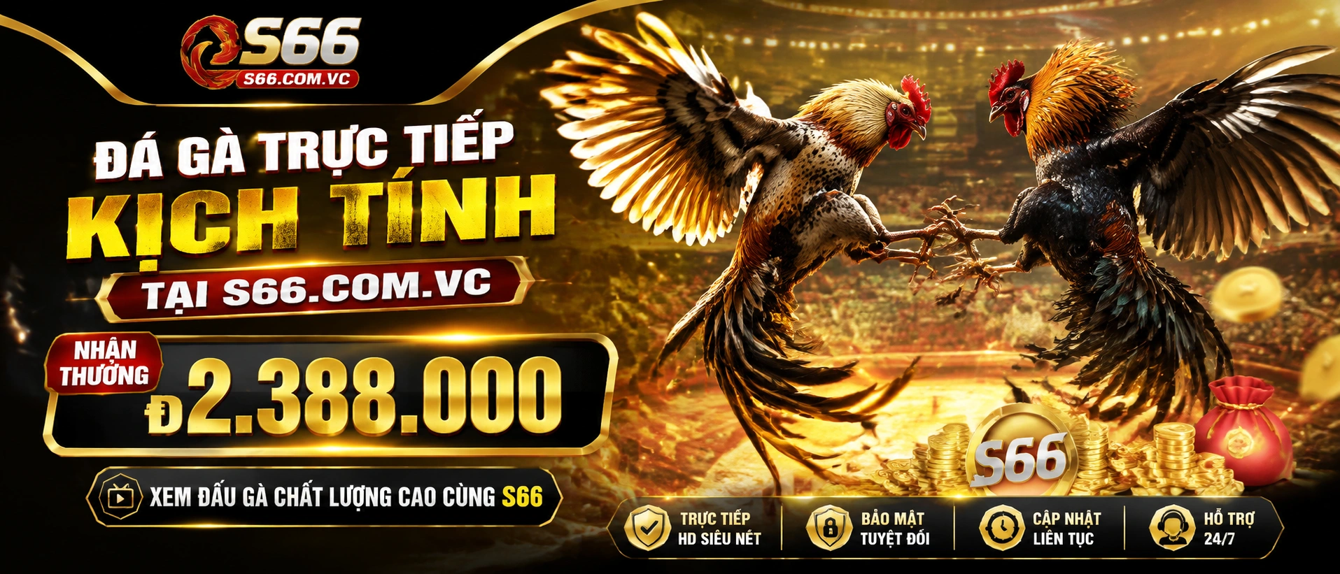 Giao diện Đá Gà S66 trên mobile