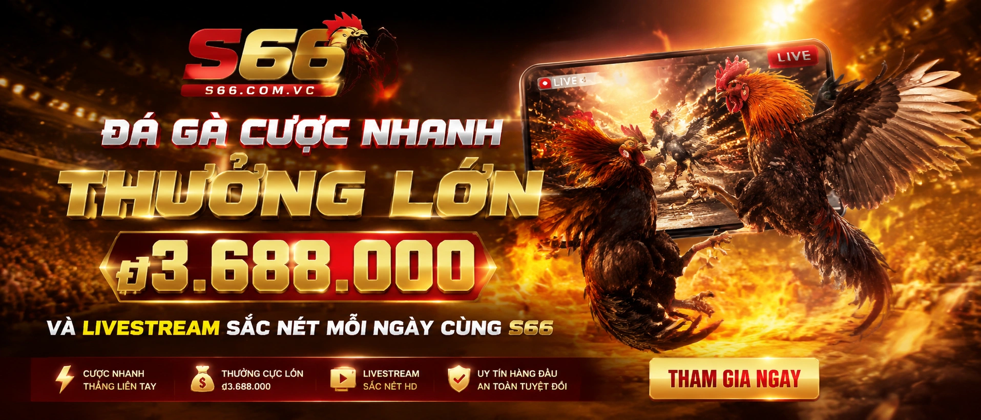 Đá Gà Trực Tiếp nổi bật trên S66